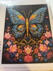 DIY Colorful Butterfly Paint by Numbers kit 25X15cm/9.8”X5.9”