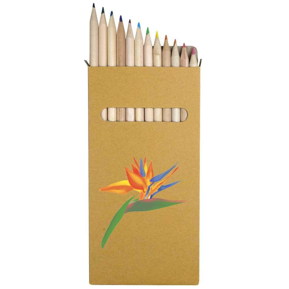 12 x ‘Bird Of Paradise Tropical Flower’ Long Colour Pencils (PE00071527)