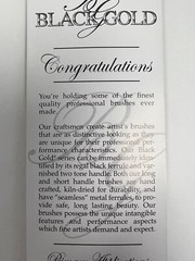 Dynasty Black Gold Artist Brush Sets