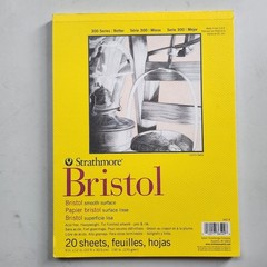 NEW Strathmore Bristol 300 Series Sketch Pad Paper Notebook Art Drawing Supplies