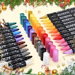 Dual Tip Acrylic Paint Pens Markers, Dot & Fine Tip Coloring Drawing 12 Colors