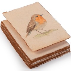 Wanderings Handmade Antique Deckle Edge Blank Cards – 4″x6″ Package of 50 – M…