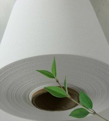 Canvas Roll Matte waterproof Premium Polyester 24″x100′