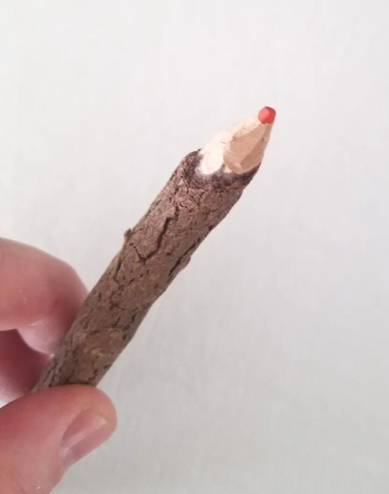 Tree Stick Orange Colored WOODEN PENCIL Crayon Twig Camping Decorative Wood