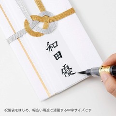 Fude Brush Pen – Medium Point with Water-Soluble Black Ink, 2 Refill Cartridges