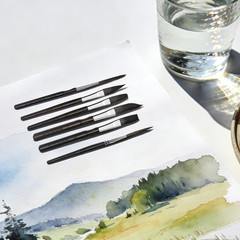 Starter Pinstriping Brush Kit 6 Pcs High Performance Striping Brushes, Long Line