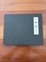 Kiretake Saiboku Shimbi 14 Color Ink Stick Set