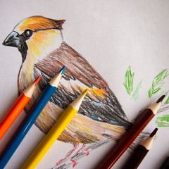 3Pcs Watercolor Pencils for Coloring Drawing Painting,Gold