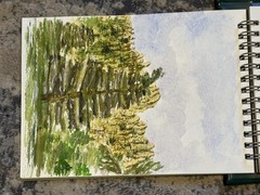 Rare Vtg Daler Rowney Watercolor Set