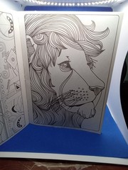 Adult Coloring Books with 2 New Packs of Pens and A Bundle of 8 Glitter Pens Set