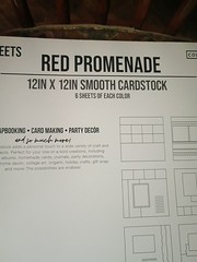 Colorbok Red Promenade 12×12 Cardstock 27 Sheets, Assorted Red Shades, Smooth