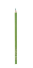 STAEDLER 24 Pieces Pencil in Classic Hexagonal Shape | 10units/Pack