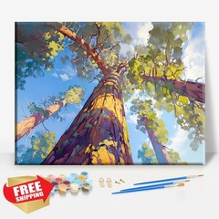 Aeontinity Redwood NP CA Paint by Numbers