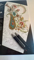 New/Sealed INDIA 16 Marker Colouring Sheets Pepin Felt Tip Pens/Markers