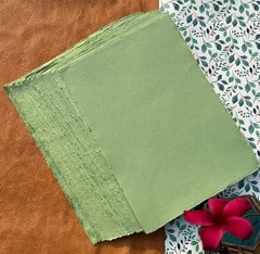 Wanderings Handmade Green Deckle Edge Blank Paper – 4×6 – Pack of 50 –
