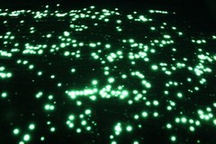 GREEN Extreme StarMaker Glow in the dark paint 4 oz pot , luminescent,