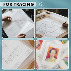 Koala Tracing Paper Roll for Drawing, Sewing, Sketching, 17 in X 50 yd, 50gsm