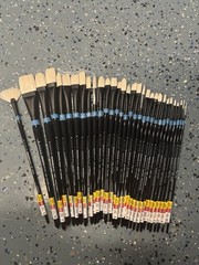 Princeton Aspen Long Handle Oil Paint Brushes – Lot Of 31/ Brand New