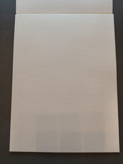 Canson Figueras Canva-Paper Linen Canvas Texture 290g 10 Loose Sheets 9″ x 12″