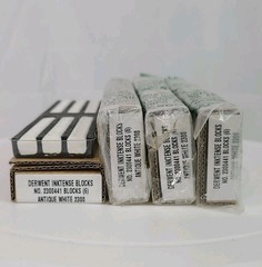Derwent Inktense Water-Soluble Artists Color Ink Blocks 6 Pc #2300 Antique White