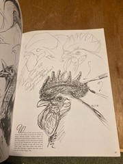 Walter Foster How to Draw Lot: Books 1 & 2: How To Draw And Paint.