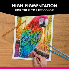 Artistic Excellence: Premier Colored Pencils, 150 Assorted Colors for Adults