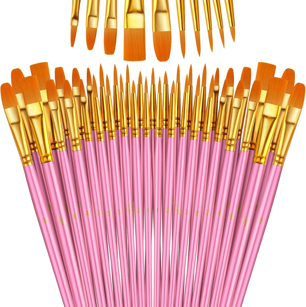 Paint Brushes Set, 5 Pack 50 Pcs Round-Pointed Tip Paintbrushes Nylon Hair Artis