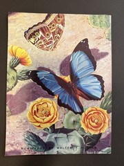 Vtg How to Paint Exotic Butterflies Mag. Walter Foster Art Paint Butterfly Pics