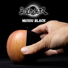 SHIN KOKUSHOKU MUSOU BLACK ACRYLIC PAINT 100ml KOYO Orient Japan
