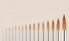 Rosemary & Co Series 33 Pure Kolinsky Pointed Full Range Fast Shipping