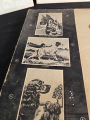 Vtg 1950s Craftint Oil Paint by Number Big 3 Canvases – Dogs – See Details