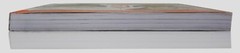 Learn From 100 Famous Artists 21 Draw 250 page Book To Become A Better Artist