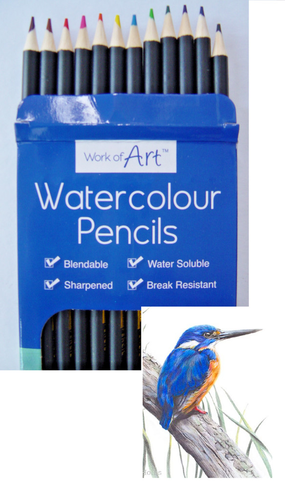 12 Watercolour Pencils Artist Drawing Painting Sketching Art Water Colour pencil