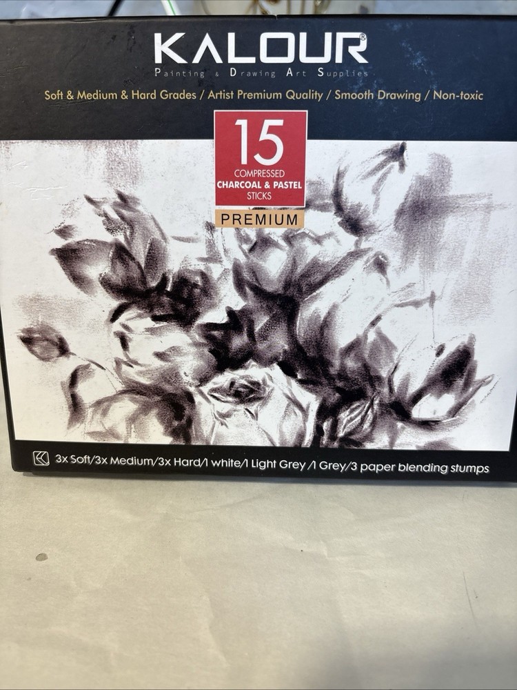 15 Pro Compressed Charcoal Drawing Set with Blending Stumps- Soft,Medium,Hard