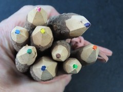 Lot of 9 Natural Wood Twig Rustic Colored Pencils 6.5″ Long NEW
