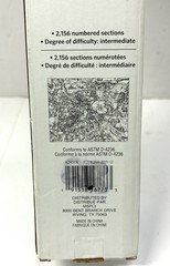 Artist’s Loft Paint-By-Number Kit 20×16 Hanging Horizontal Canvas Cat in Flowers