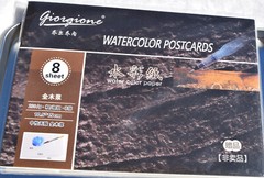 Giorgione 12 Pc Nylon Paint Brush Set With Different Tips and Sizes in Metal Box
