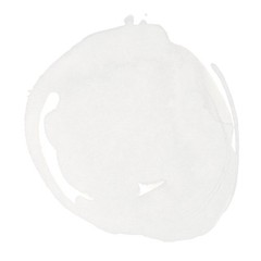 Liquitex Professional Acrylic Ink, 1-oz (30ml) Jar, 1 fl oz, Titanium White