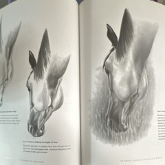 Lee Hammond Big Book of Drawing Paperback Drawing/Sketching Animals & Birds