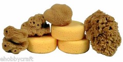 7 Synthetic and Natural Silk Sponges for Painting, Crafts, Ceramics, Pottery