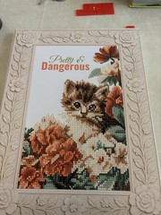 “Pretty & Dangerous” Completed Diamond Painting from Five Below, Canvas