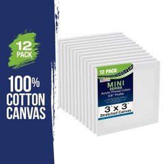US Art Supply 3″ x 3″ Mini Professional Primed Stretched Canvas 12-Mini Canvases
