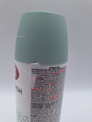 Krylon Chalky Finish Green Brook 12 Oz Spray Paint New