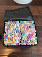 Ohuhu Oahu Alcohol Markers Set, 160 Colors, Twin Tip Chisel/Fine, Case