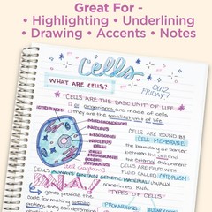 Zebra 15ct Mildliner Dual-tip Creative Colorful Marker Gifting: Mildliner
