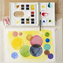 Winsor & Newton Professional Watercolour Compact Set – 14 Half Pans + Brush