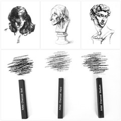 STAPENS 12 Pack Compressed Charcoal Sticks, 1 Count (Pack of 12), Black-12