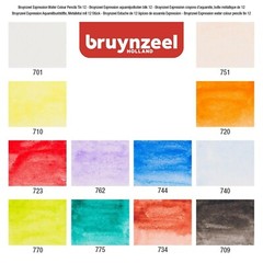 BRUYNZEEL Expression Watercolor Pencils set Tin of 12 pieces