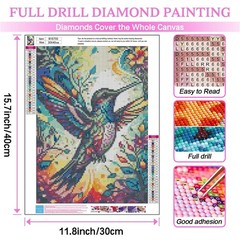 Hummingbird Diamond Painting Kits for Adults,Full Drill Birds Diamond Art Kits f