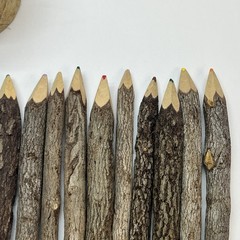 colored pencil set made from real natural twig tree bark crafts rustic